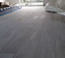 Carrelage rdc imitation parquet - Après de nombreuses hésitations pour la couleur des joints, au départ nous étions partis sur du clair (blanc ou beige) et finalement nous avons choisit taupe.
Choix que je ne regrette absolument pas au contraire, je trouve le résultat top !