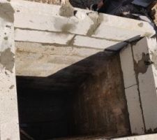 Regard TAE en cours d'élévation