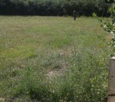 Terrain 1 er debroussaillage