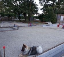 Hérisson en place. Le chef de chantier vérifié si c'est assez confortable ?