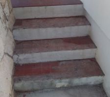 Carrelage escalier