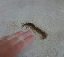 Merci aux incompétents de Babeau Seguin...