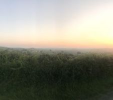 Vue de notre terrai.