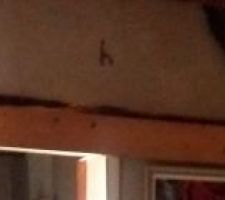 Une poutre en sapin de renfort