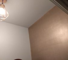 Peinture WC faite par mes soins