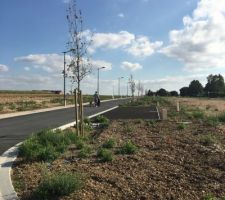 &Eacute;tat du lotissement de Vers-sur-Selles !!!