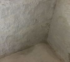Enduit dans le coin TR&Egrave;S humide de la cave