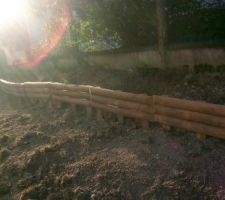 Bordures jardin