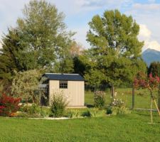 Cabane résine derrière massif en 1/2 lune (fin août)