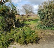 Pr&eacute;paration du terrain