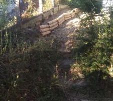Bordures jardin