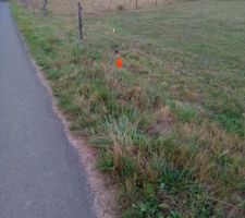 Terrain born&eacute; et maison implant&eacute;e