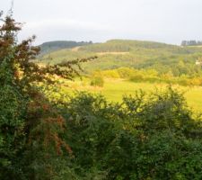 L'aubépine à l'entrée du terrain et la colline dans la lumière du soir