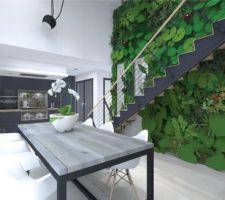 Cuisine : vue 3D profonde depuis la salle-à-manger