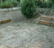 Désharbage à côté arbre