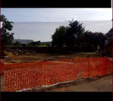 Plus de mur et plus d'arbres