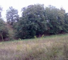 Le terrain un vrai coup de coeur !