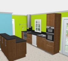 Implantation cuisine test