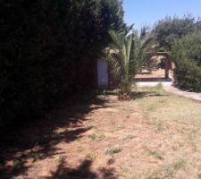 Vue du terrain apr&egrave;s avoir coup&eacute; les arbres et commenc&eacute; les haies