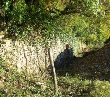 Derrière les ronces, il y avait un joli mur en pierre !