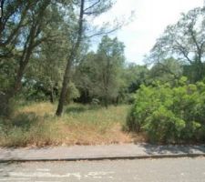 On découvre le terrain