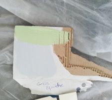 Choix couleur pour un mur de la pi&egrave;ce principale &agrave; associer avec le mur vert de la cuisine