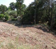 Le terrain après abattage des arbres coté vallon