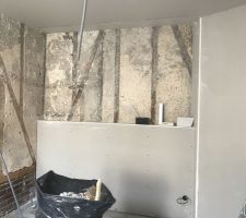 Quelle idée j?ai eu de vouloir garder les colombages apparents sur les murs ne demandant pas d?isolation intérieures . Que de boulot pour enlever toutes les couches au-dessus polystyrène, plâtres collés bref un travail de cingle