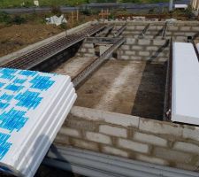 Vide sanitaire