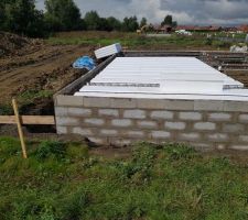 Vide sanitaire