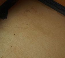 Fissures dalle