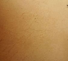 Fissures dalle