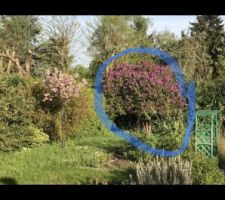 A la demande du CDT nous avons procéder au nettoyage du terrain: élagage et debrouissaillement afin de donner plus de visibilité au terrain avant passage du géomètre pour implantation de la maison.