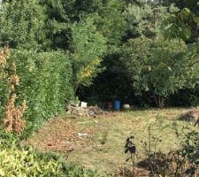A la demande du CDT nous avons procéder au nettoyage du terrain: élagage et debrouissaillement afin de donner plus de visibilité au terrain avant passage du géomètre pour implantation de la maison.