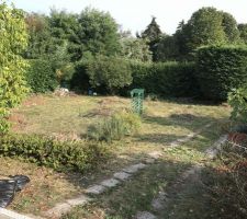 A la demande du CDT nous avons procéder au nettoyage du terrain: élagage et debrouissaillement afin de donner plus de visibilité au terrain avant passage du géomètre pour implantation de la maison.