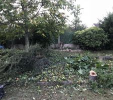 A la demande du CDT nous avons procéder au nettoyage du terrain: élagage et debrouissaillement afin de donner plus de visibilité au terrain avant passage du géomètre pour implantation de la maison.