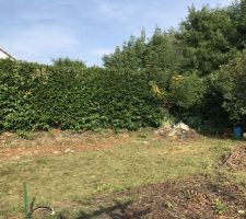 A la demande du CDT nous avons procéder au nettoyage du terrain: élagage et debrouissaillement afin de donner plus de visibilité au terrain avant passage du géomètre pour implantation de la maison.