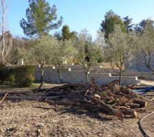 Le choix du terrain sur les conseils de l'agence immobili&egrave;re de ventabren, un agent de bon conseil, qui nous a propos&eacute; le terrain avec le constructeur EPC