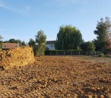 Le terrain reprend place
