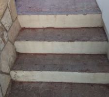 Carrelage escalier retiré