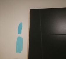 Mise en peinture des portes en RAL 7016!
Désire de mettre un peu de couleur dans la cuisine .. Bleu turquoise ?