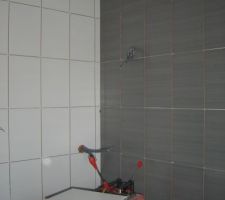 Salle de bain gris clair/blanc
Les meubles blancs et le miroir encadr&eacute; de blanc seront sur le mur gris