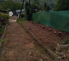 Maison démolie en partie + arrachage des arbres pour passage