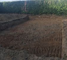 Le terrassier est arriv&eacute; aujourd?hui sur le terrain et il a vraiment bien boss&eacute;! 
Apr&egrave;s une longue journ&eacute;e de travail, je me rend sur le terrain pour jeter un ?il sur le travail effectu&eacute;. Malgr&eacute; le fait qu?ils ont mang&eacute; les figues les plus m&ucirc;res du figuier lol mais je ne leur en veut pas s?ils font du bon travail. Je reviendrai vers vous pour la suite.