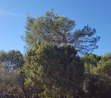 Un petit bout de ciel bleu