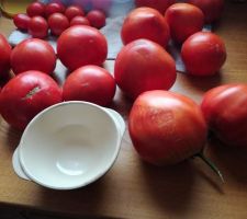 Récolte après deux ans d'une terre bien nourrie  de tomate coeur de boeuf