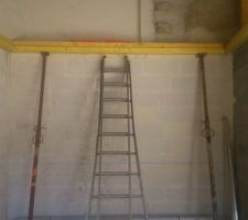 D&eacute;but solivage