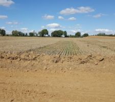 Notre future parcelle