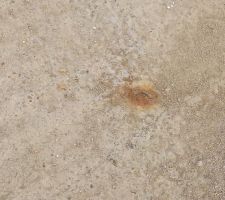 Une épingle rouille dans la dalle.