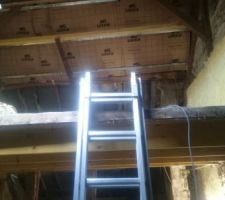 Avant de continuer le sol, nous isolons la toiture. Une 1iere couche de 10cm puis une seconde de 20cm.